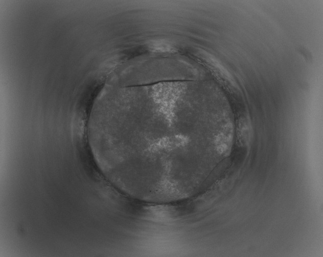 X0000116480417200912292050