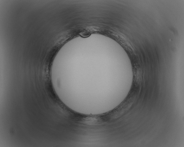 X0000116480418200912292050