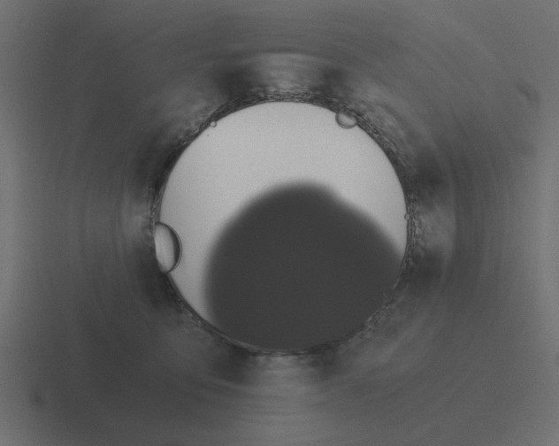 X0000116480419200912292050