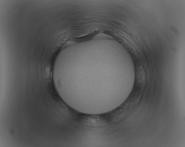 X0000116480420200912292050