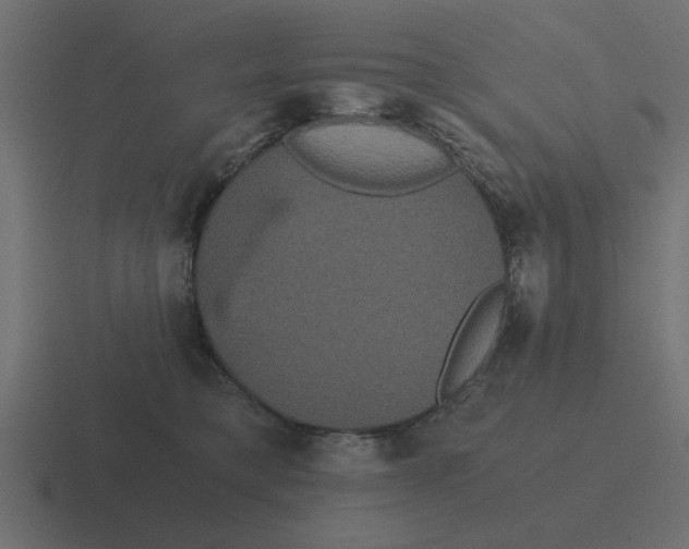 X0000116480421200912292050