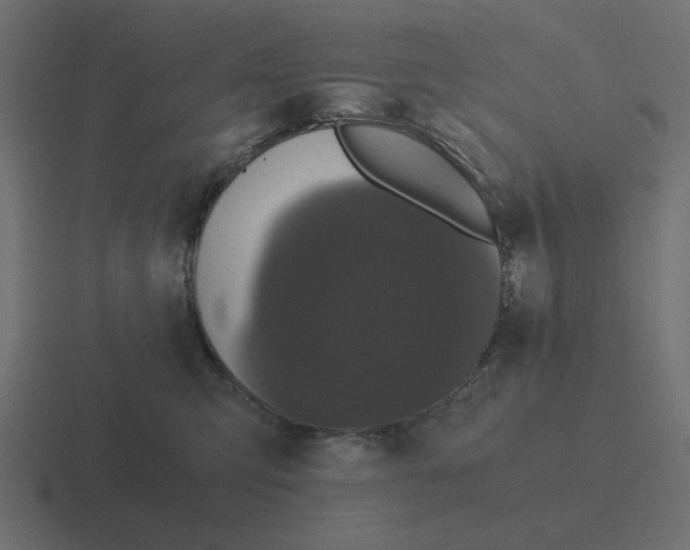 X0000116480423200912292050