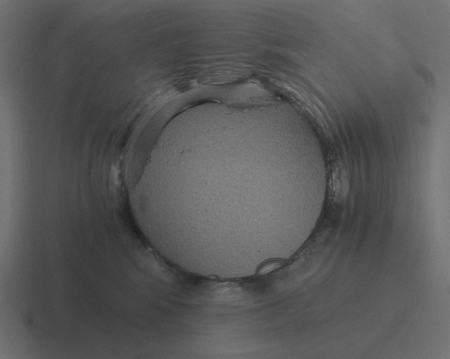 X0000116480424200912292050