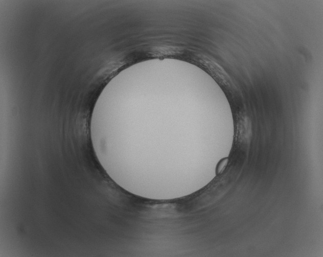 X0000116480426200912292050