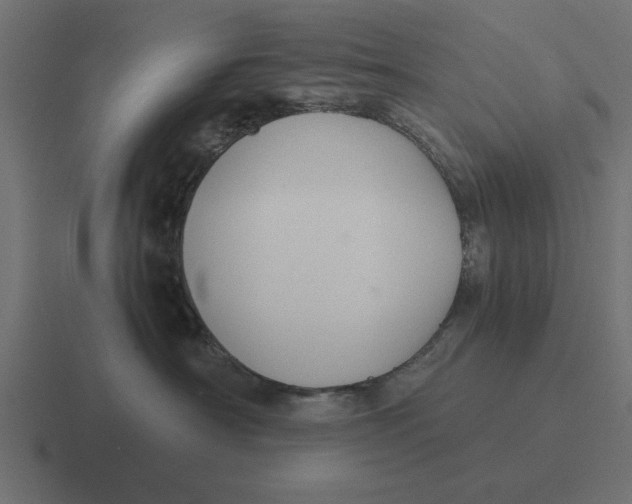 X0000116480430200912292049