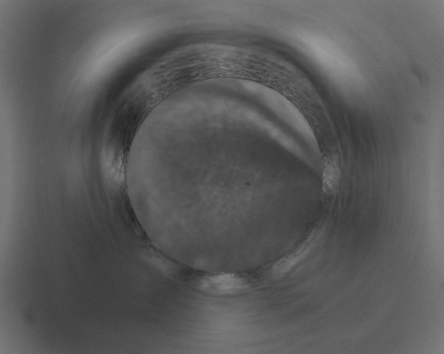 X0000116480431200912292049