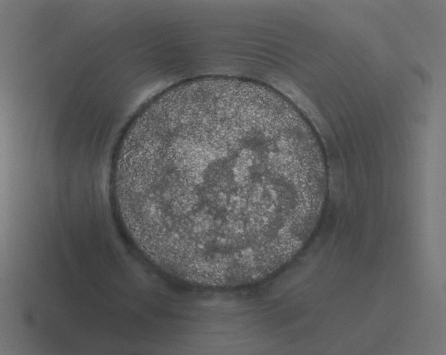 X0000116480434200912292049