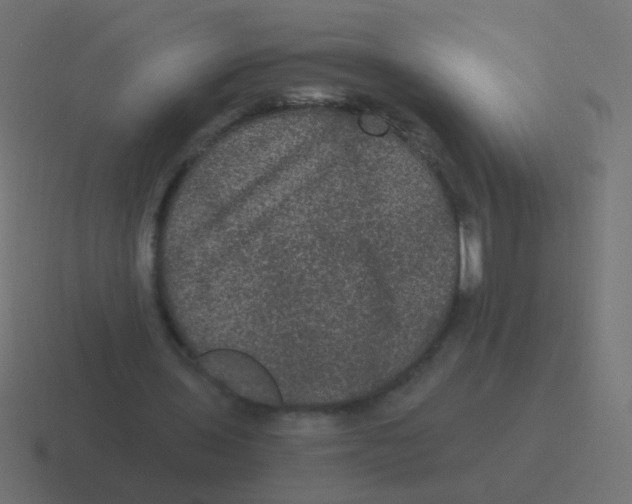 X0000116480435200912292049