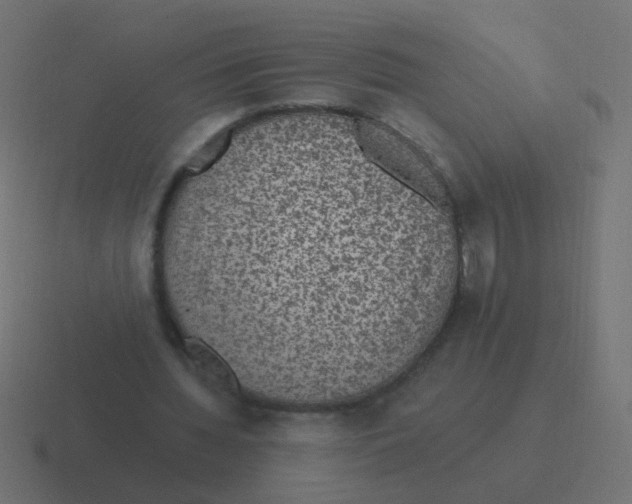 X0000116480436200912292049