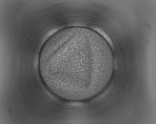 X0000116480437200912292049