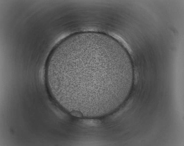 X0000116480439200912292049