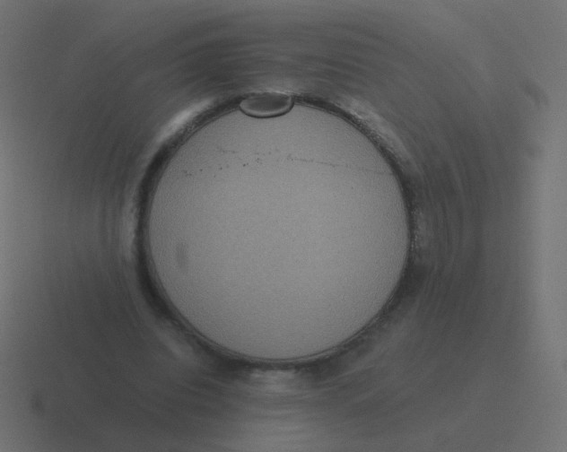 X0000116480440200912292049