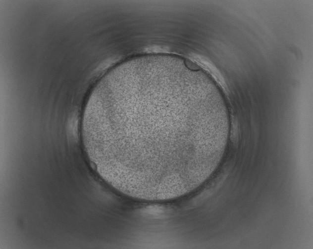 X0000116480441200912292049