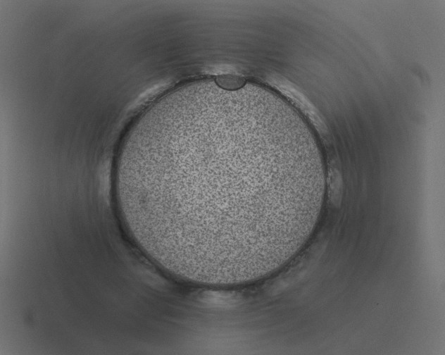 X0000116480442200912292049