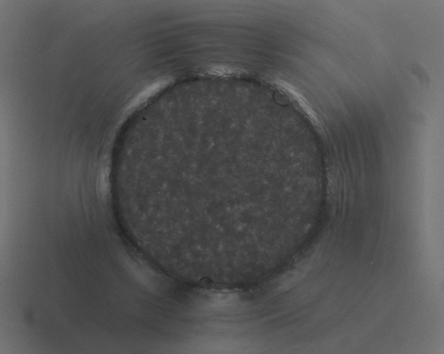 X0000116480443200912292049