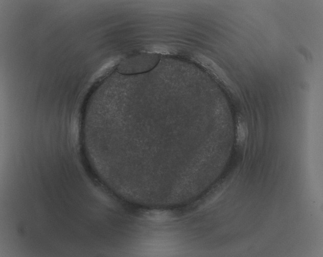 X0000116480444200912292049