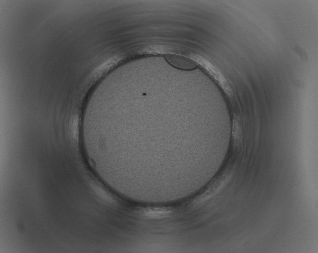 X0000116480445200912292049