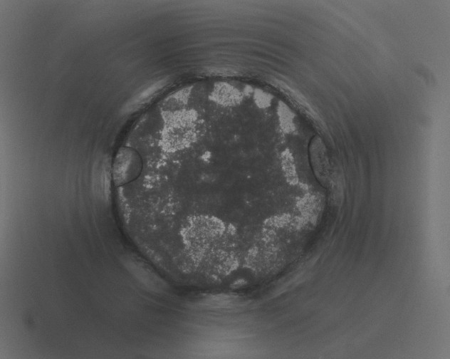 X0000116480446200912292049