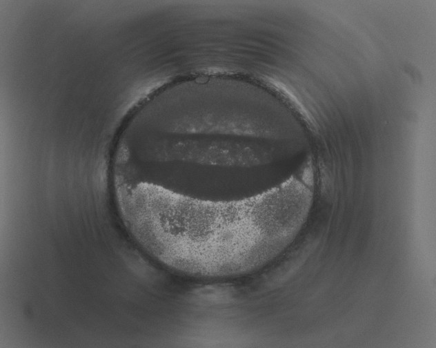 X0000116480447200912292049