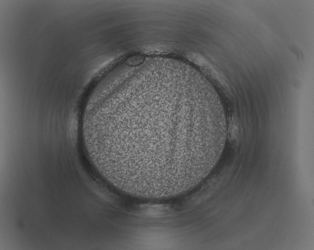 X0000116480448200912292049