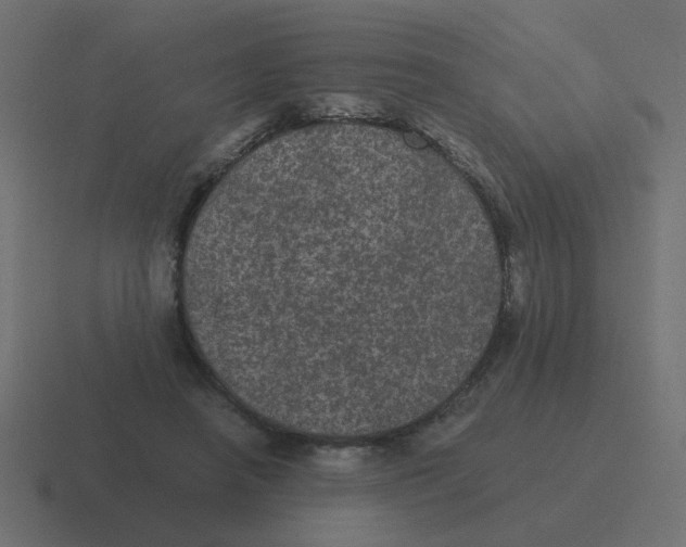 X0000116480450200912292049