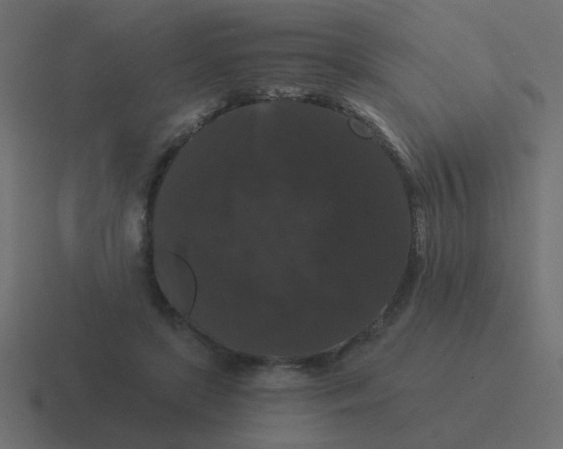 X0000116480451200912292049