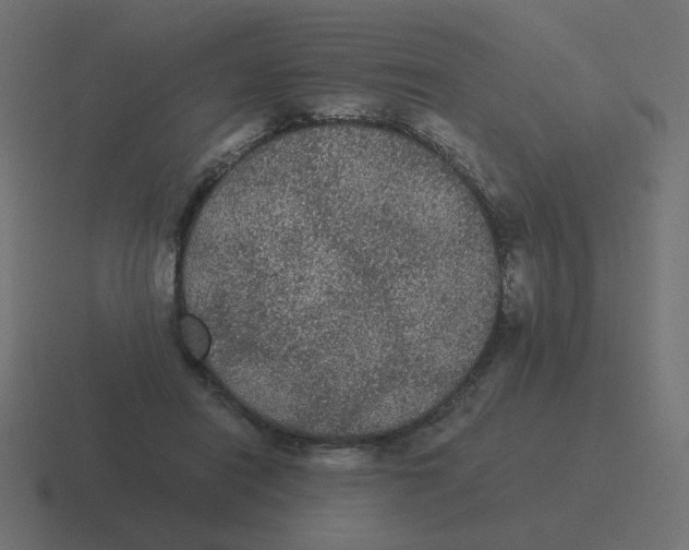 X0000116480454200912292049