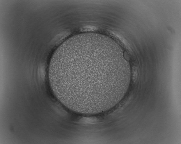 X0000116480455200912292049