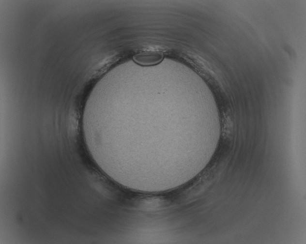 X0000116480456200912292049