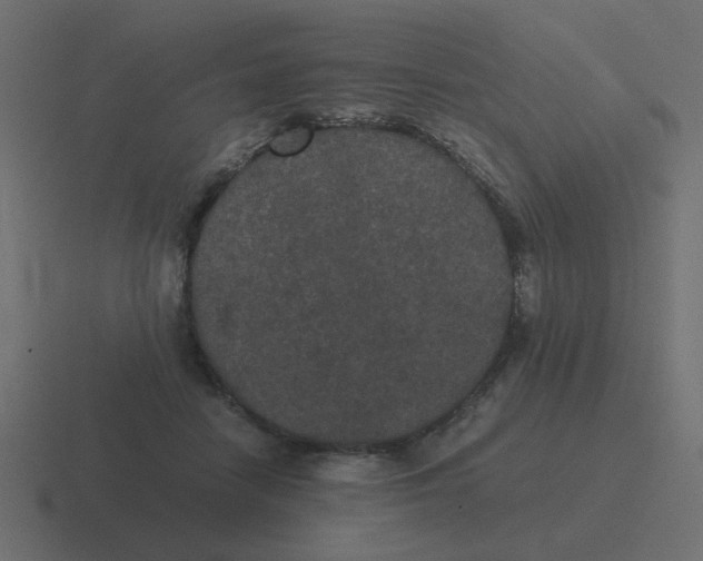 X0000116480458200912292049