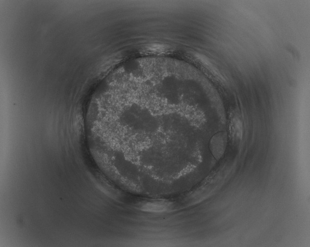 X0000116480459200912292049