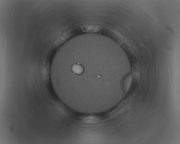 X0000116480460200912292049