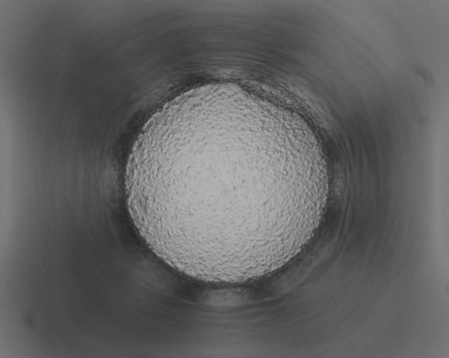 X0000116480461200912292049