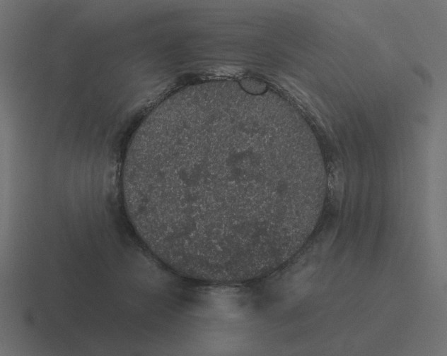 X0000116480462200912292049