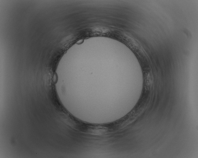 X0000116480463200912292049