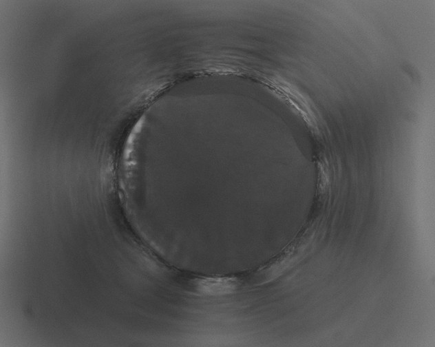 X0000116480465200912292049