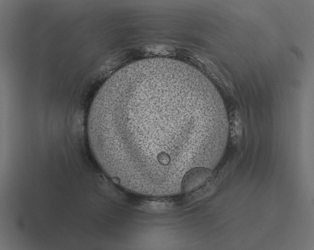 X0000116480466200912292049