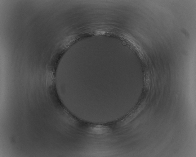 X0000116480467200912292049