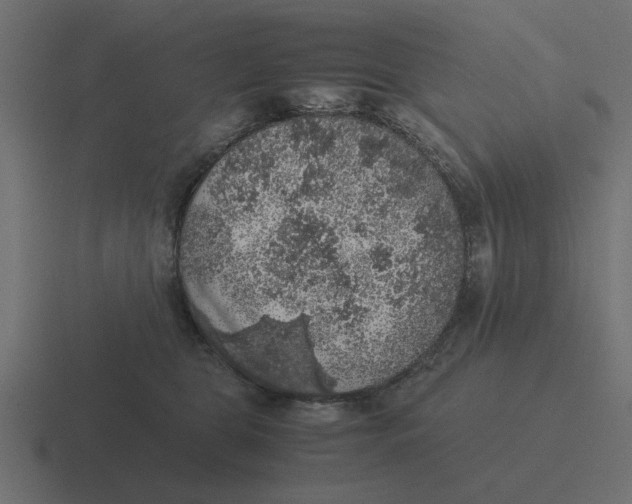 X0000116480469200912292049