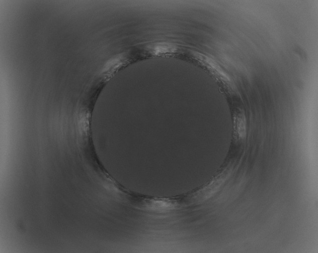 X0000116480475200912292049