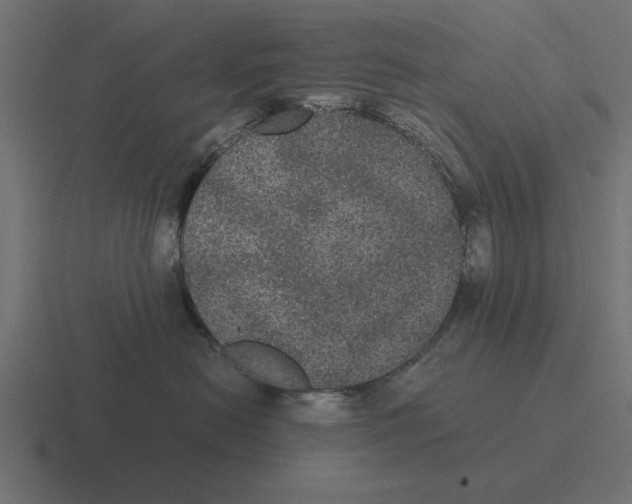 X0000116480478200912292049