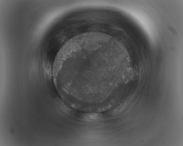 X0000116480479200912292049