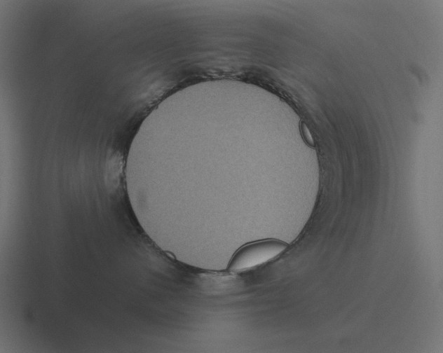 X0000116480480200912292049