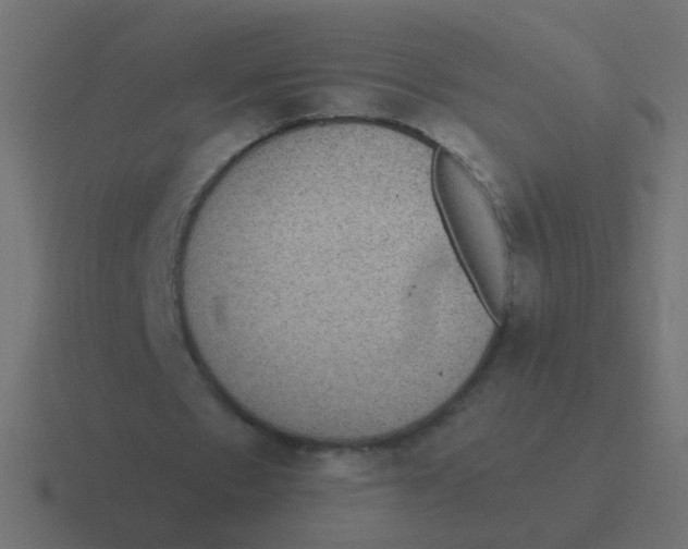 X0000116480481200912292049