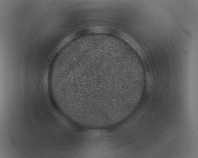 X0000116480482200912292049