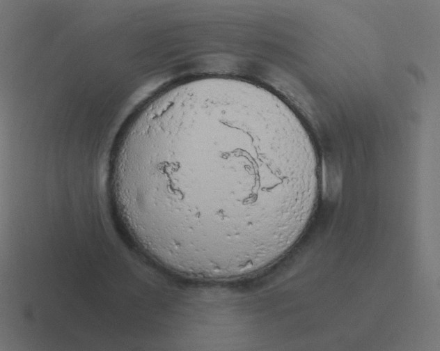 X0000116480483200912292049