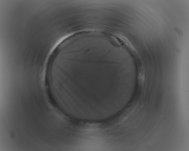 X0000116480484200912292049