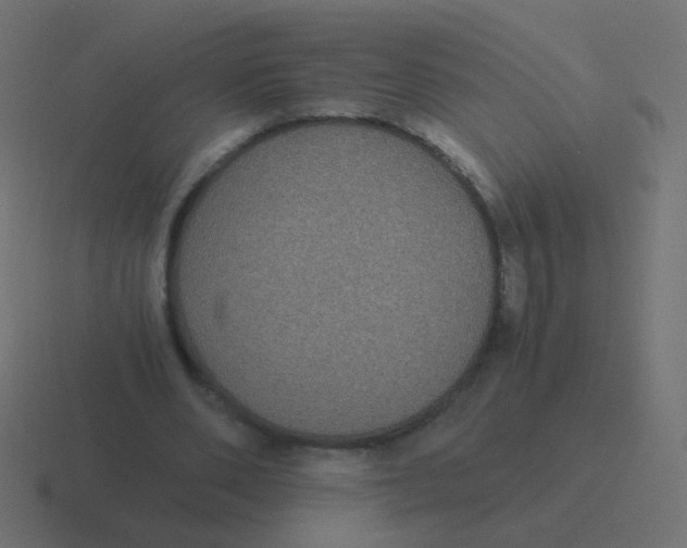 X0000116480486200912292049