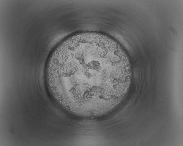 X0000116480487200912292049