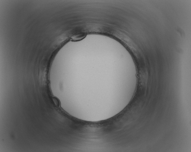 X0000116480489200912292049